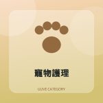全部
